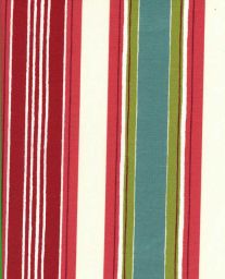 Aloe Berry Fabric