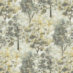 Trembling Aspen Cloud Mist