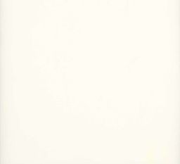 Super Batiste Ivory (Sheer) Fabric