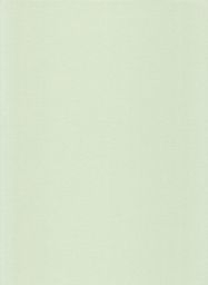 Sateen Pastel Green Fabric