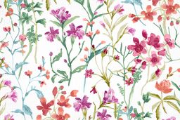 Ciara Coral Fabric