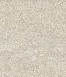 Greenwich Champagne Fabric