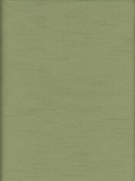Roma Green Fabric