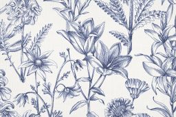 Kiley Ink Fabric