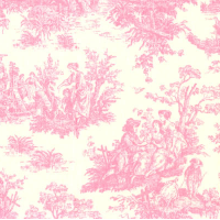 Jamestown Pink Fabric