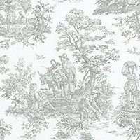 Jamestown Storm Fabric