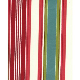 Aloe Berry Fabric