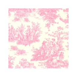 Jamestown Pink Fabric